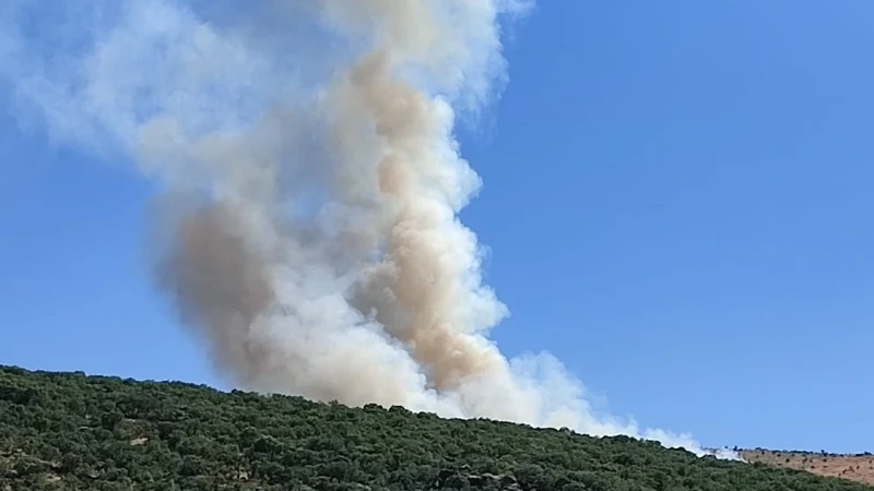 Diyarbakır’da örtü yangını: Bölgeye çok sayıda ekip sevk edildi