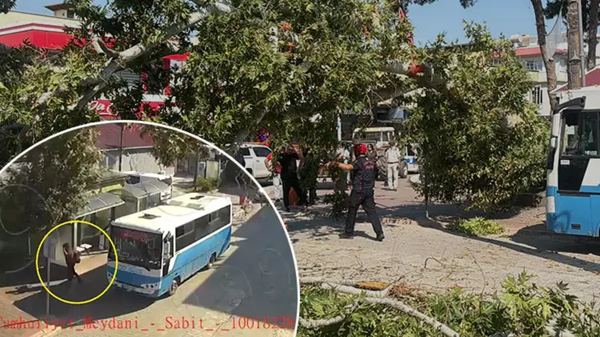 Osmaniye'de korkunç görüntü! Çınar ağacı halk otobüsünün üstüne düştü