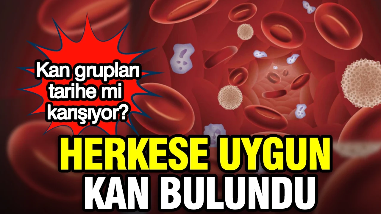 Herkese uygun kan bulundu: Kan grupları tarihe mi karışıyor?