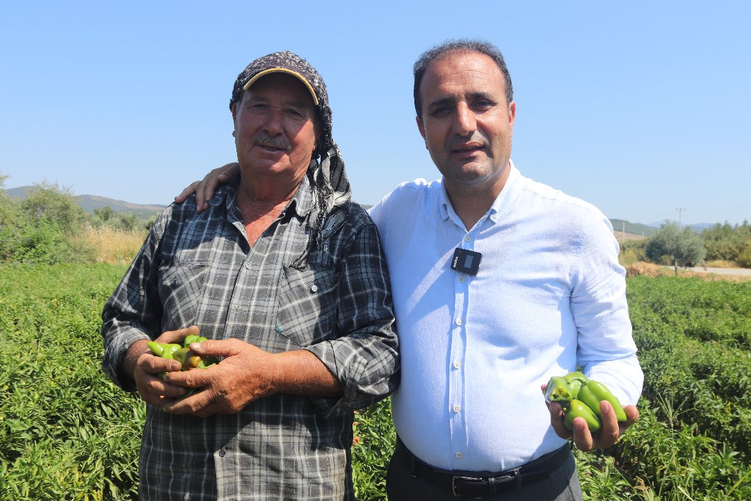 Yiyeni ağzından duman çıkıyor! Urfa'nın isotuna rakip çıktı: Acımızı yarıştıralım