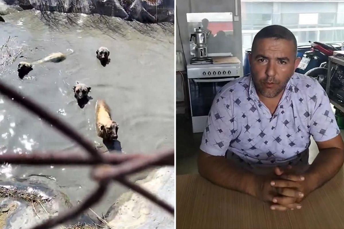 Köpekleri boğulmaktan kurturan vatandaşı işten kovdular