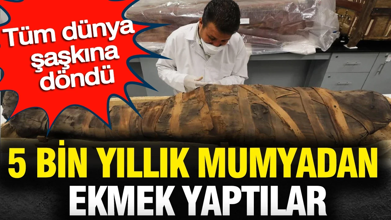 5 bin yıllık mumyadan ekmek yaptılar: Tüm dünya şaşkına döndü