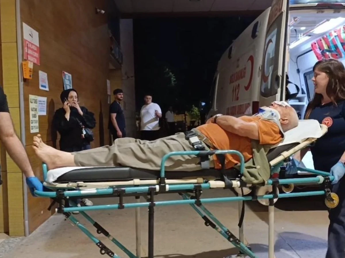 Bursa'da erik toplamak için çıktığı ağaçtan düşerek yaralandı