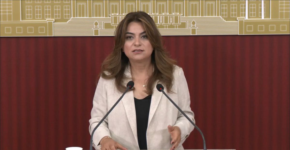 DEM Parti'li Koçyiğit: Çerçeve yasanın Meclis kapanmadan çıkacağına dair bilgiyi teyit edebilirim