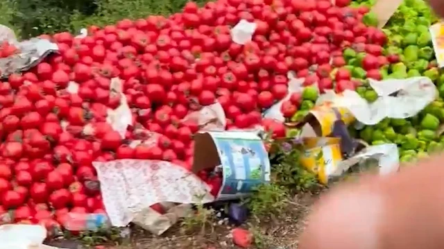 Çanakkale'de vicdanları sızlatan manzara: Kilolarca sağlam sebzeyi ormana döküp kaçtılar