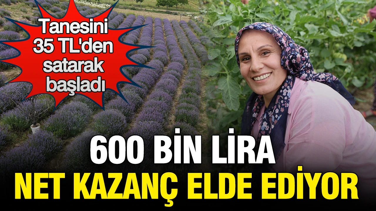 600 bin lira net kazanç elde ediyor: Tanesini 35 TL'den satarak başladı