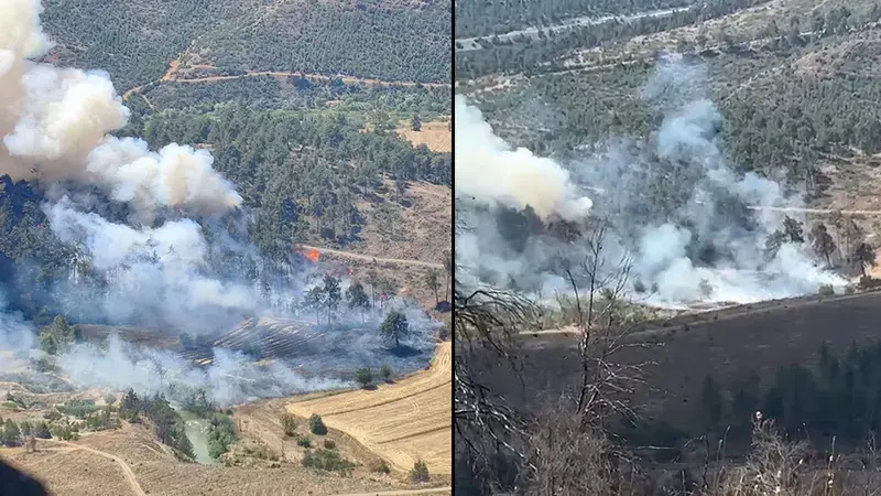 Bursa’da orman yangını