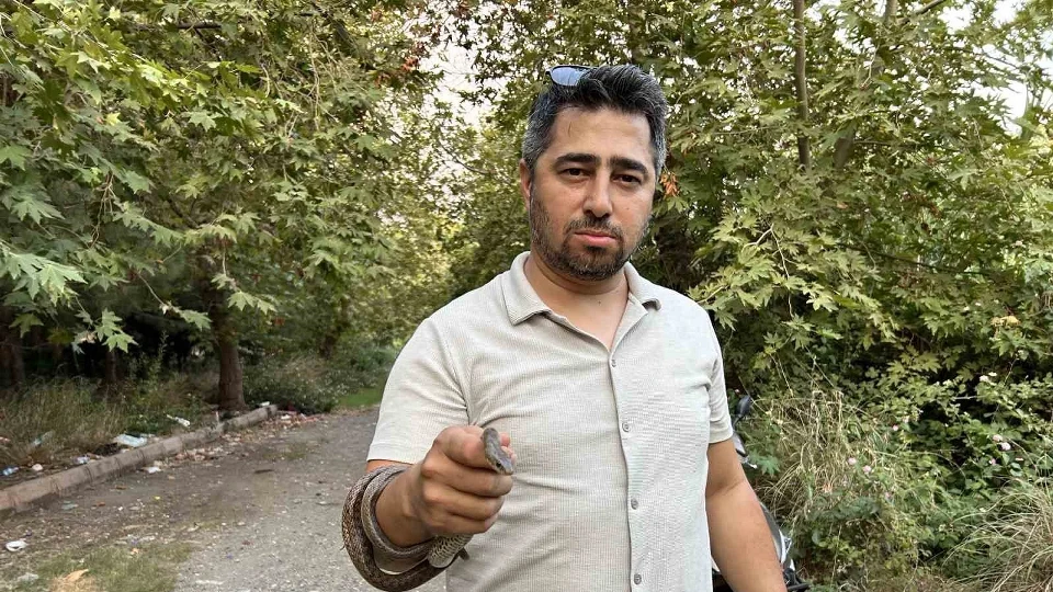 Hatay'da Evden Kara Yılan Çıktı: Yılancı Kemal Çıplak Elle Yakaladı