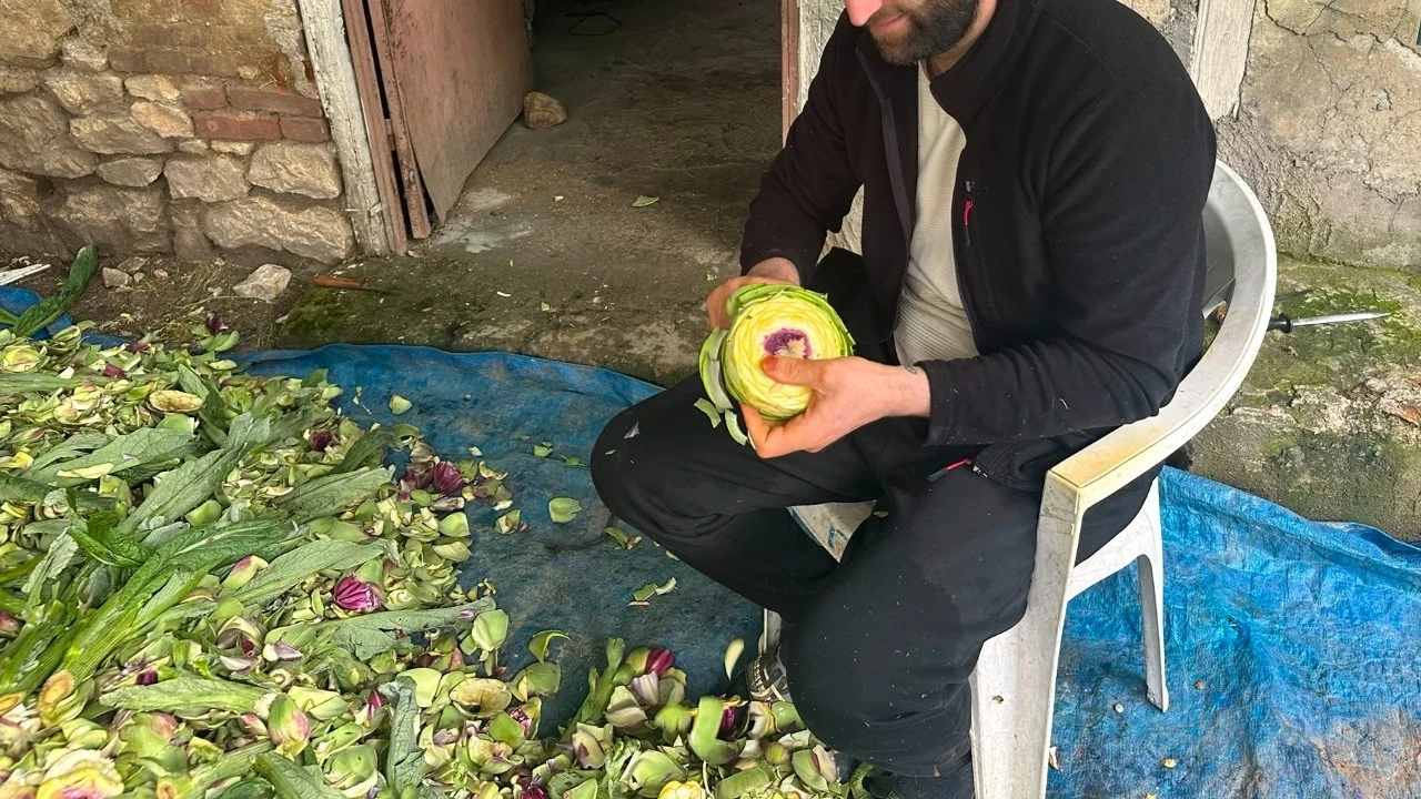 Enginar soyup 240 bin lira kazanıyorlar
