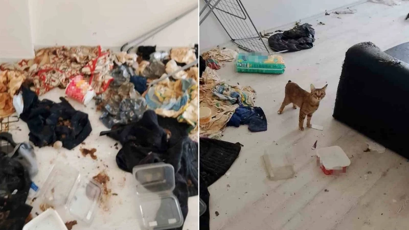 Komşuları bile taşınmak zorunda bıraktı: Pis koku ihbarında şoke eden manzara