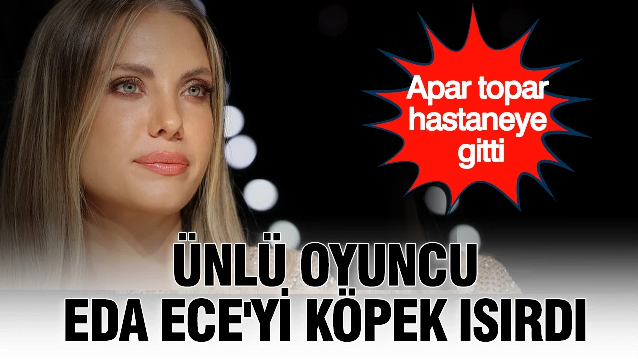 Ünlü oyuncu Eda Ece'yi köpek ısırdı: Apar topar hastaneye gitti