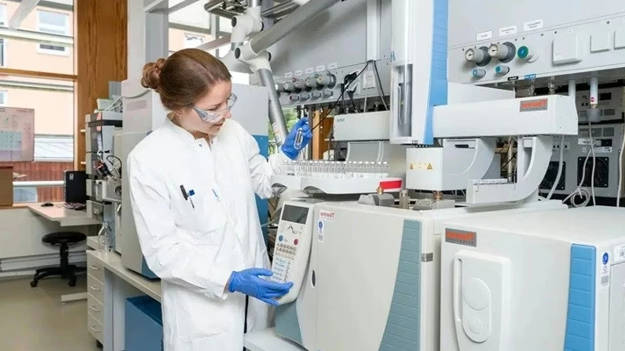 Güneş enerjisiyle karbon gazından proteinin yapı taşı üretildi