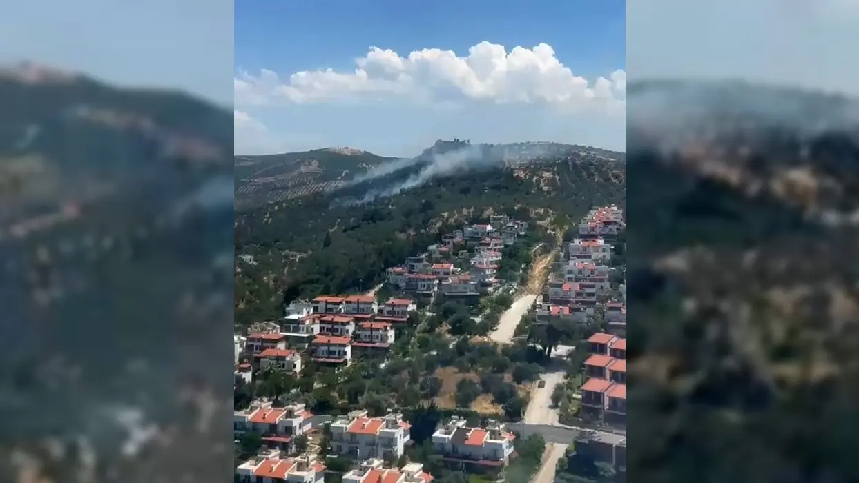 Balıkesir'de korkutan yangın: Otomobilde başladı zeytinliğe sıçradı