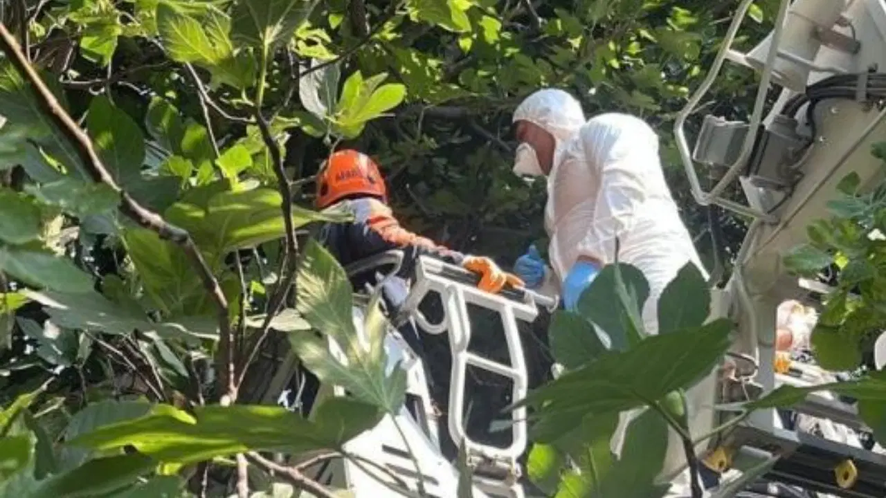 Ağaca asılı halde cesedi bulunan şahsın kimliği belirlendi