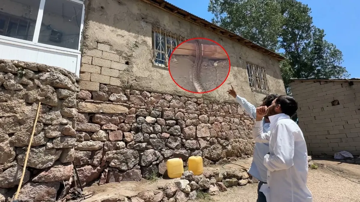 Evi istila ettiler! Aile yıllardır kabusu yaşıyor