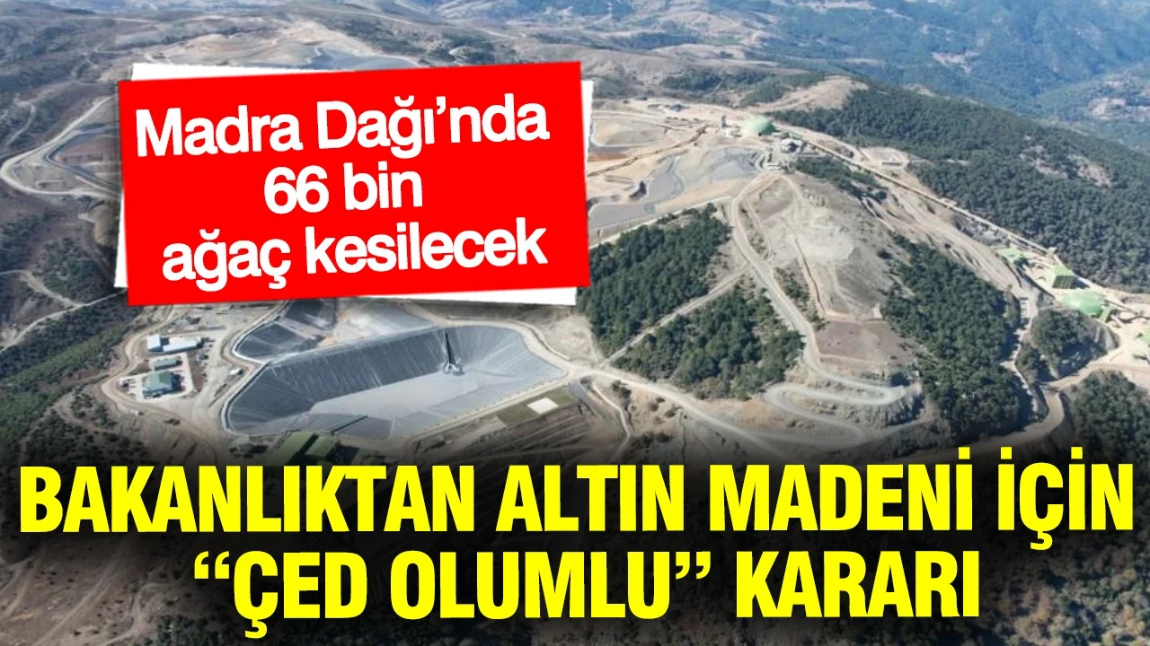 Bakanlıktan altın madeni için “ÇED olumlu” kararı: Madra Dağı’nda 66 bin ağaç kesilecek