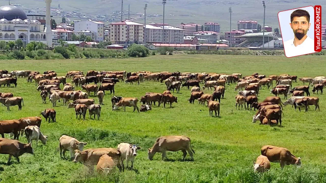 Gıda egemenliği tehlikede