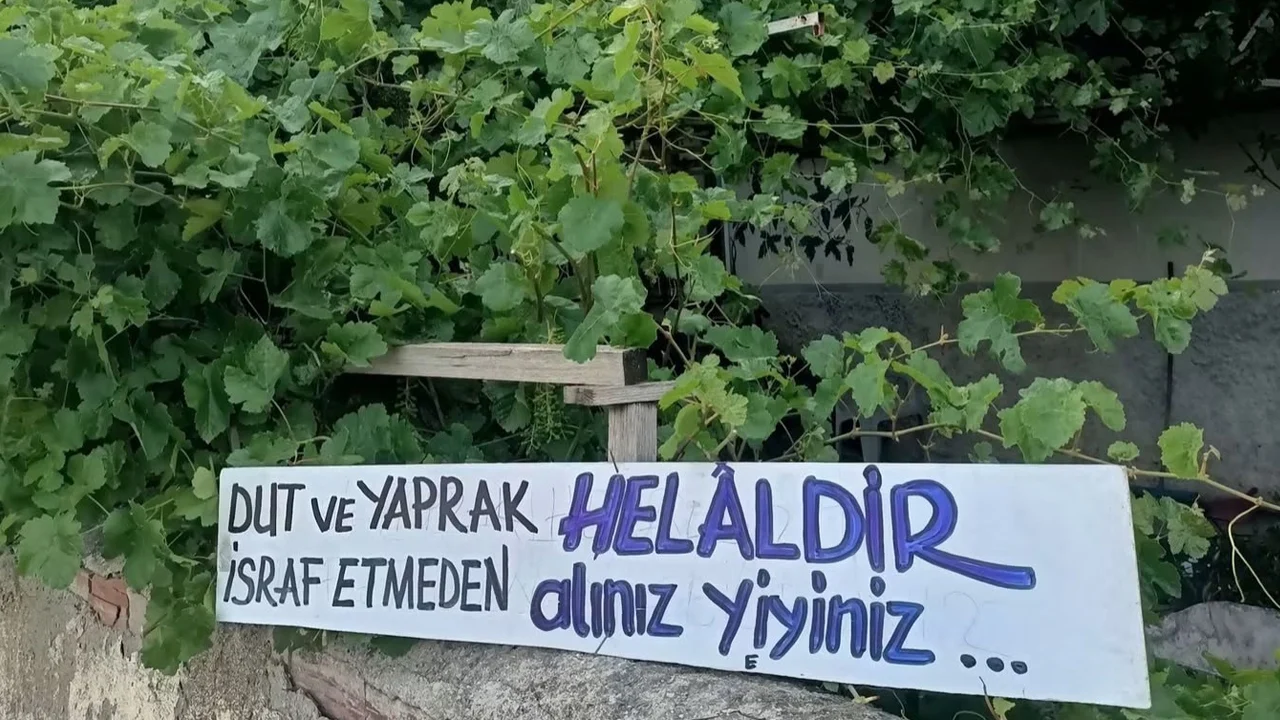 Eski başkandan örnek davranış... Anneye vefa, göz hakkı olana şifa