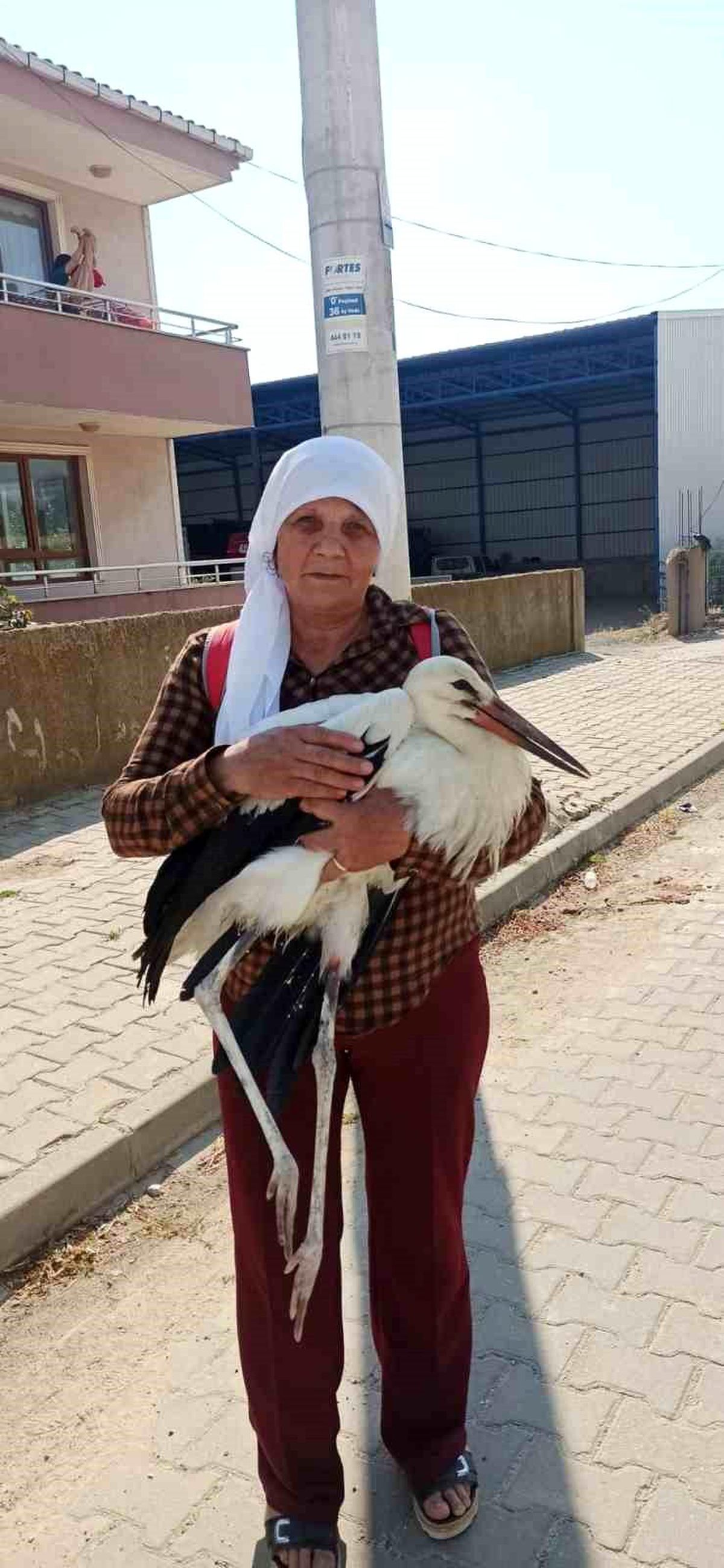 Yerde bitkin halde bulduğu yaralı leyleğe sahip çıktı