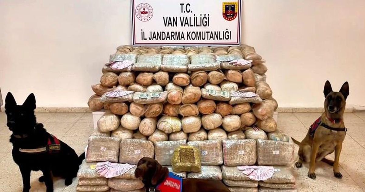 Van'da 333 kilo skunk ele geçirildi