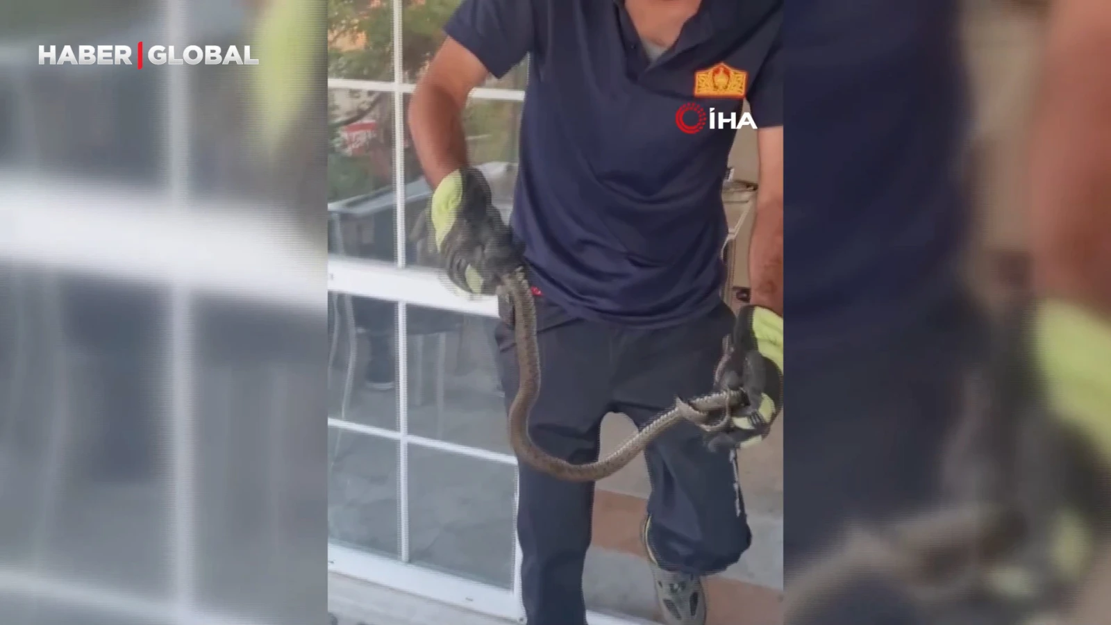 Eve giren yılanı itfaiye ekipleri böyle çıkarttı