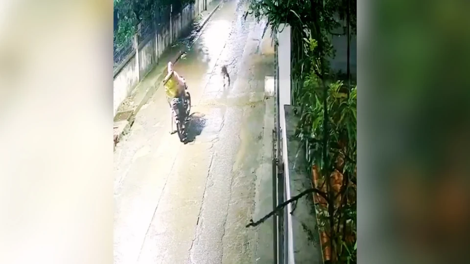Hindistan İndore'de motosikletli kuryeye leopar saldırdı