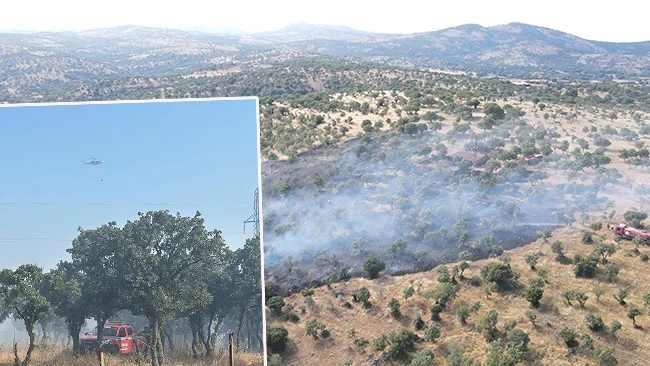 Çanakkale'de zirai arazi yangını: Havadan ve karadan müdahale ediliyor