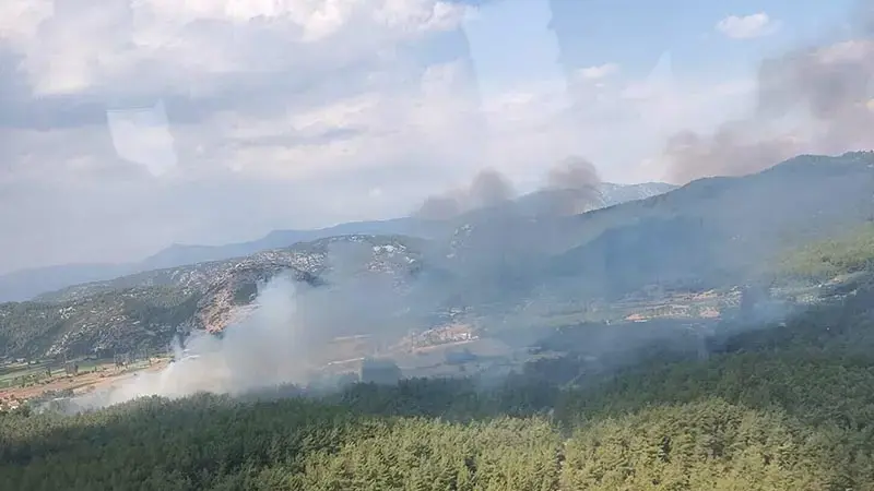 Muğla'da tarım arazisinde çıkan yangın ormana sıçradı