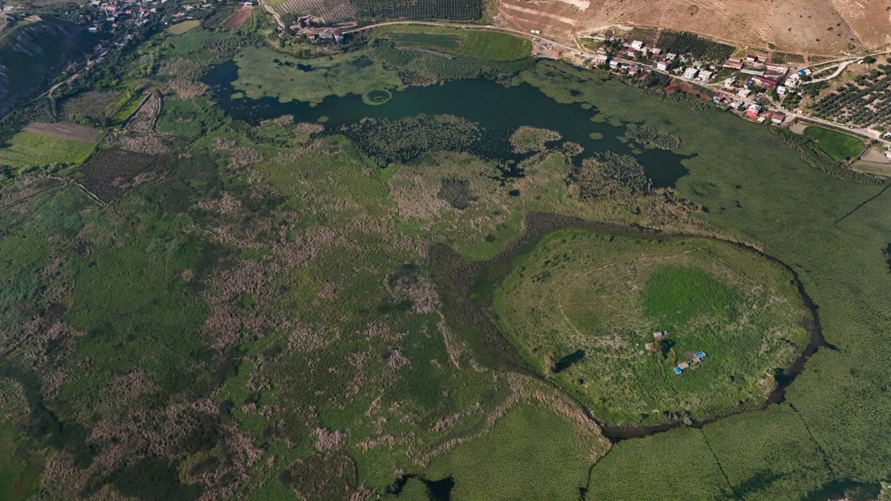 93 yaşında adada tek başına yaşıyor