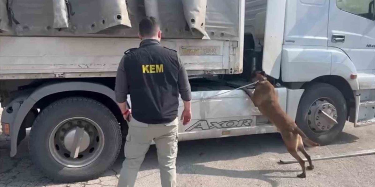 Şırnak’ta zehir tacirlerine ağır darbe: 90 kilo uyuşturucu ele geçirildi