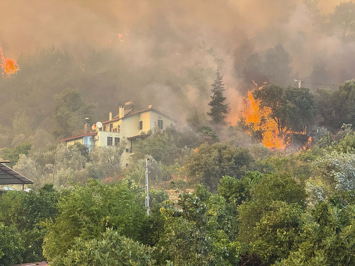Muğla'da orman yangını