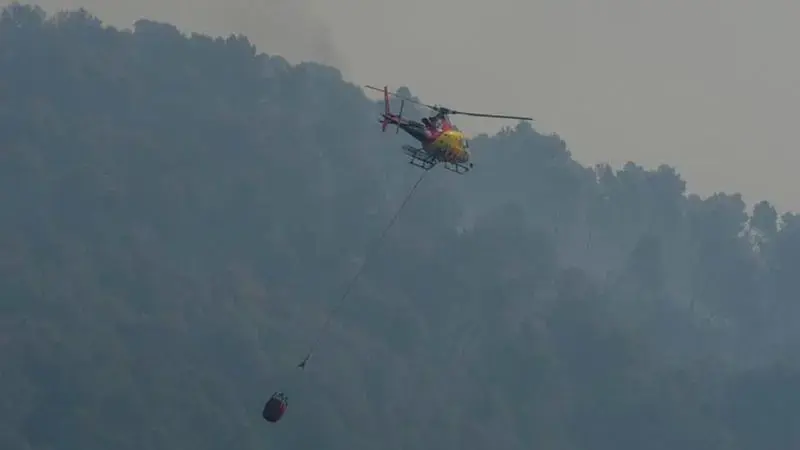 İspanya'da orman yangını: 11 ölü