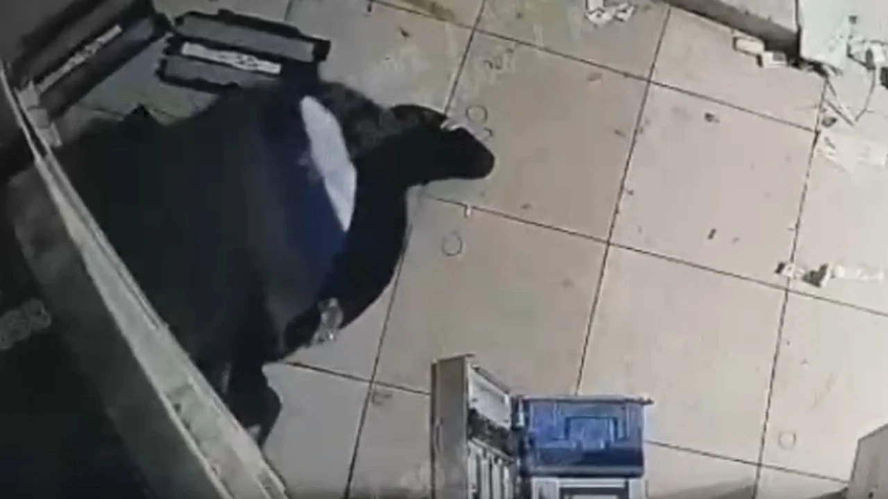 ATM kasasından yarım milyon çaldı