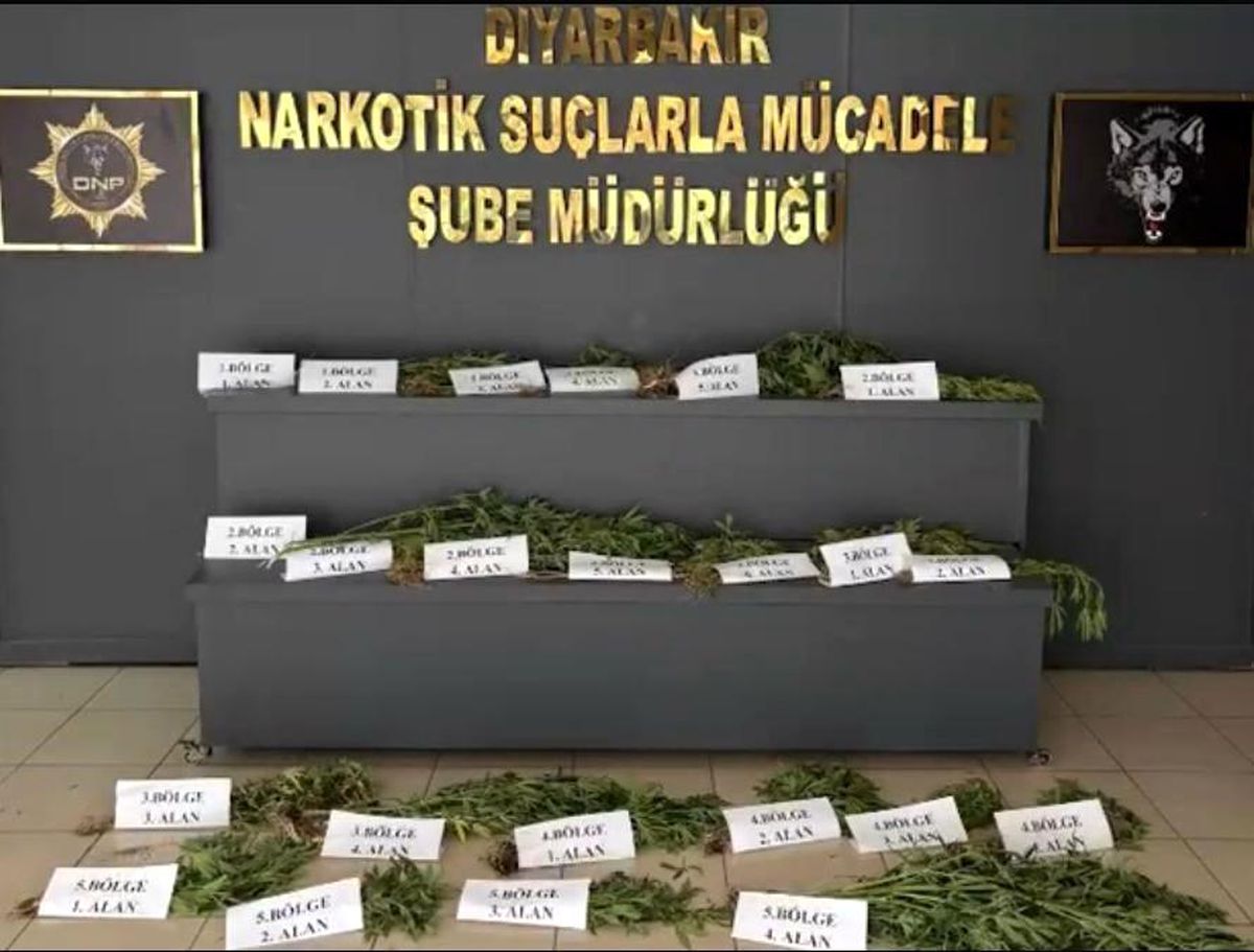 UNESCO Dünya Mirası Listesi'ndeki Hevsel Bahçeleri'nde uyuşturucu ele geçirildi