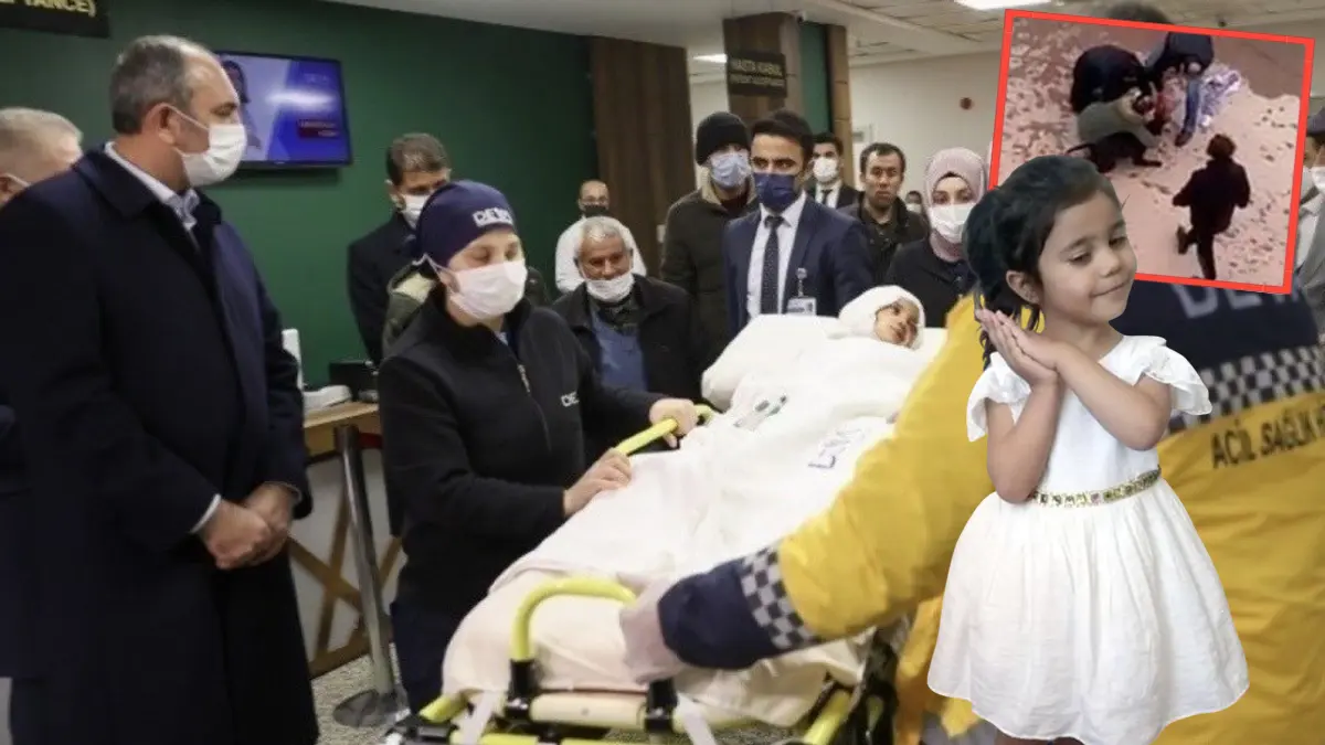 Kayıtları sildiler ama adaletten kaçamadılar! Mahkeme köpekleri 'silah' saydı