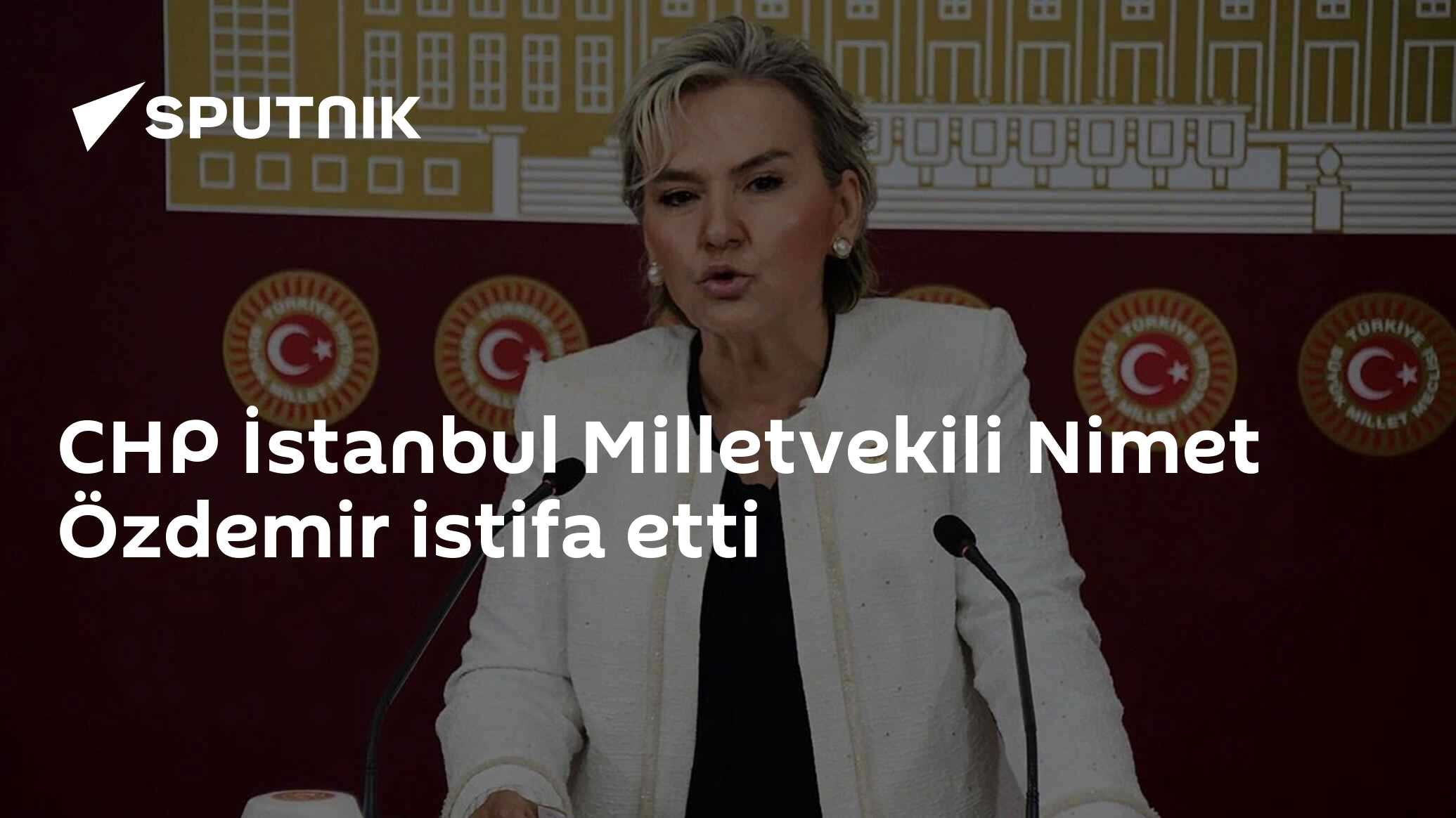 CHP İstanbul Milletvekili Nimet Özdemir istifa etti