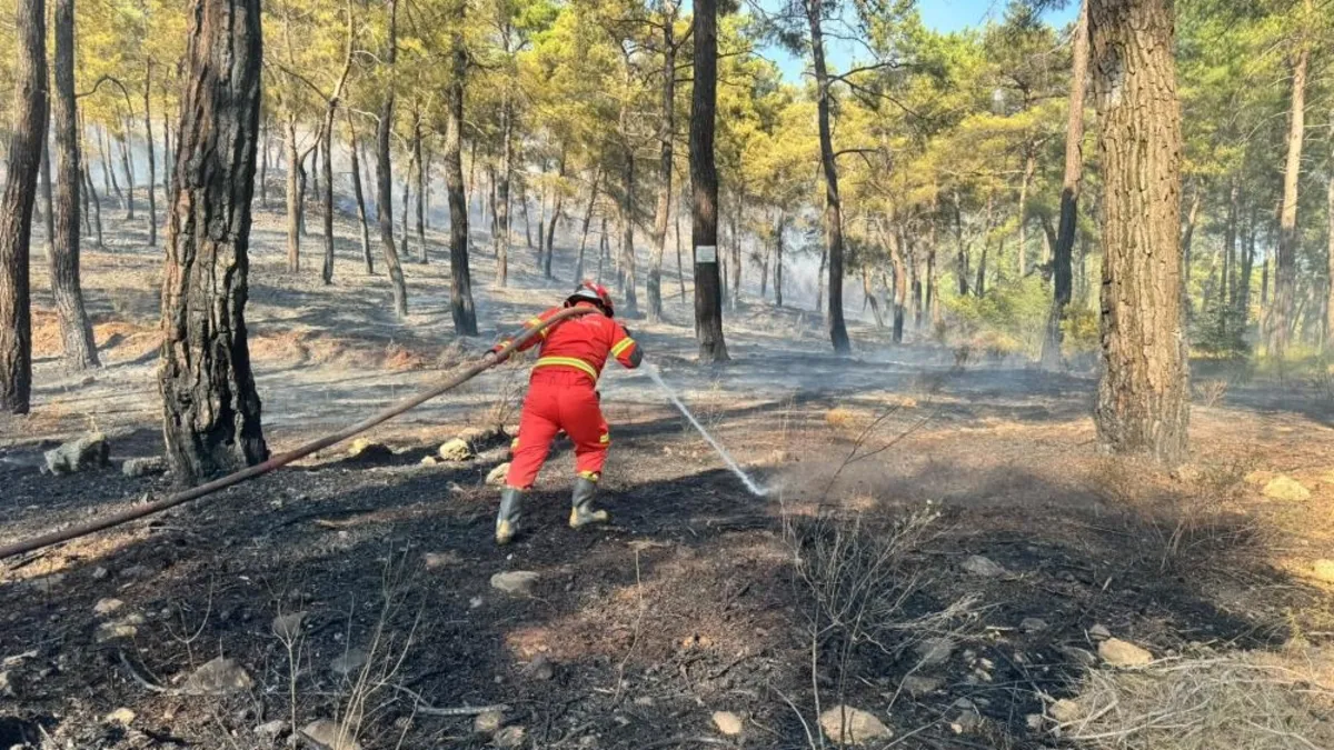 Son dakika: Muğla'nın üç ilçesinde orman yangını
