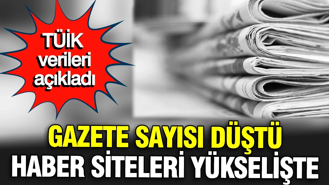 TÜİK açıkladı: Gazete sayısı düştü, haber siteleri yükselişte