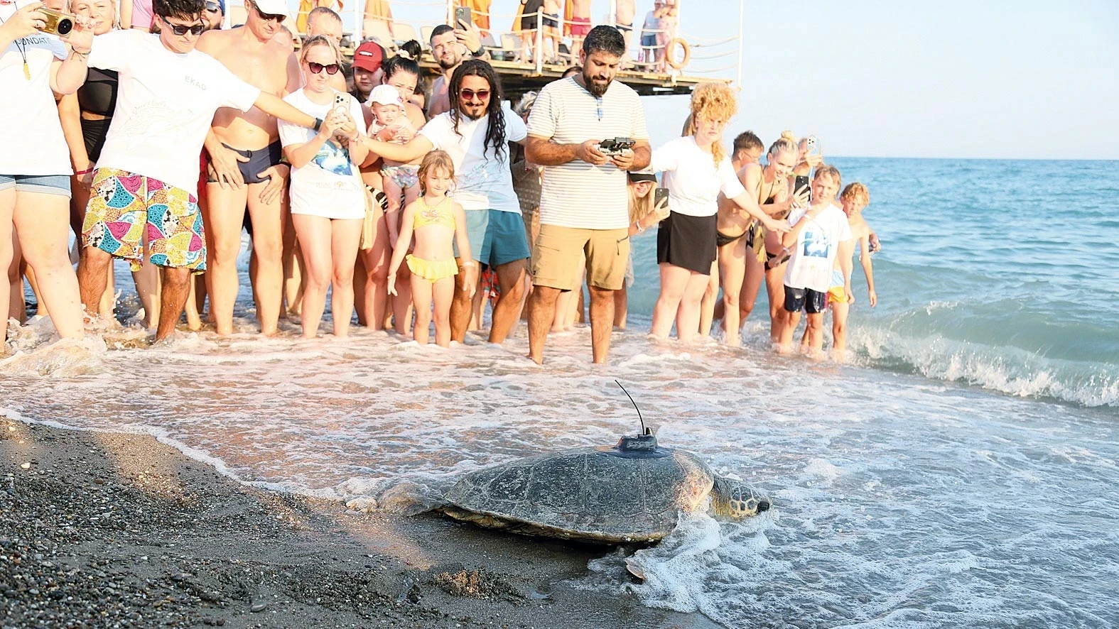 Engelli caretta takipte