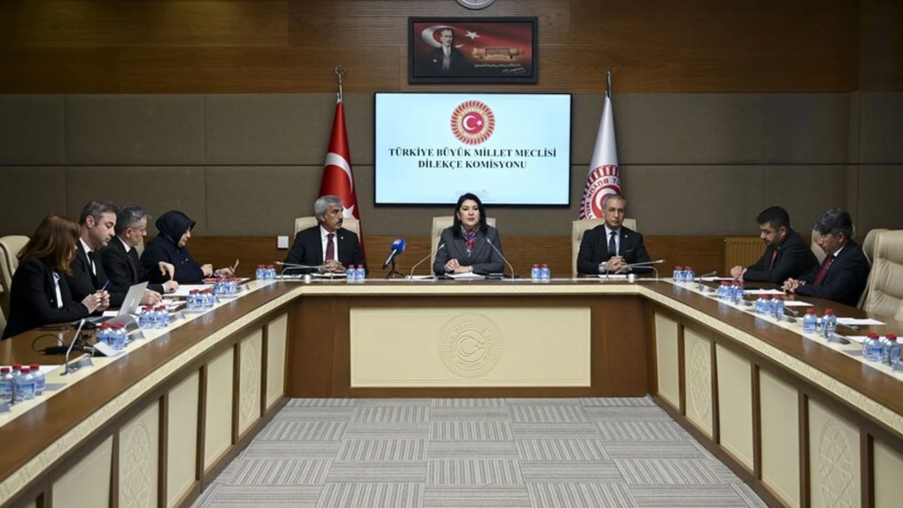 TBMM'ye bin 76 başvuru: En dikkat çeken talepler ortaya çıktı