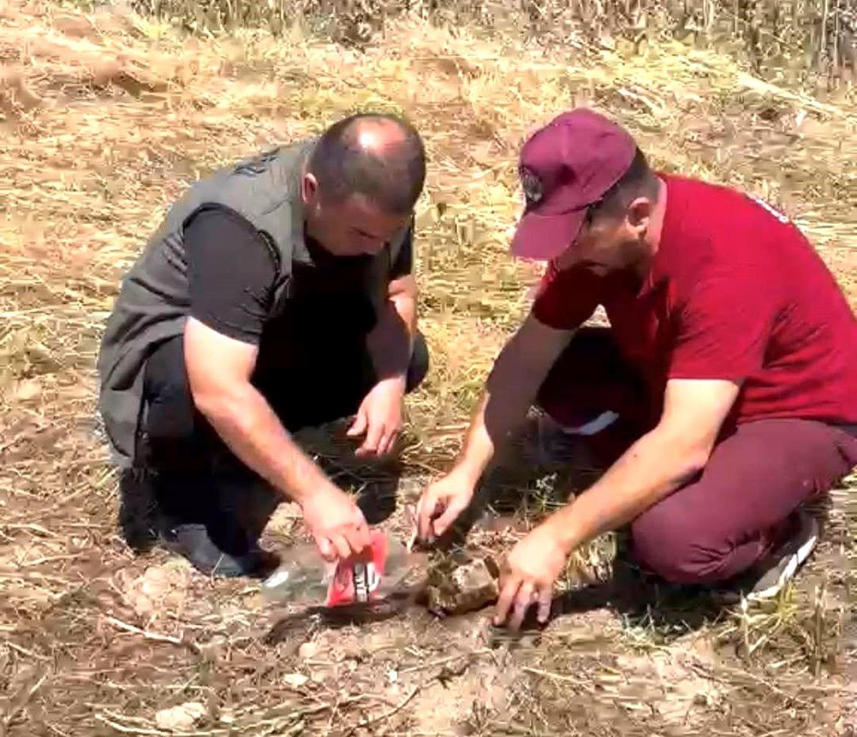 Emet'te alevlerin arasından kurtarılan kaplumbağa yürekleri ısıttı