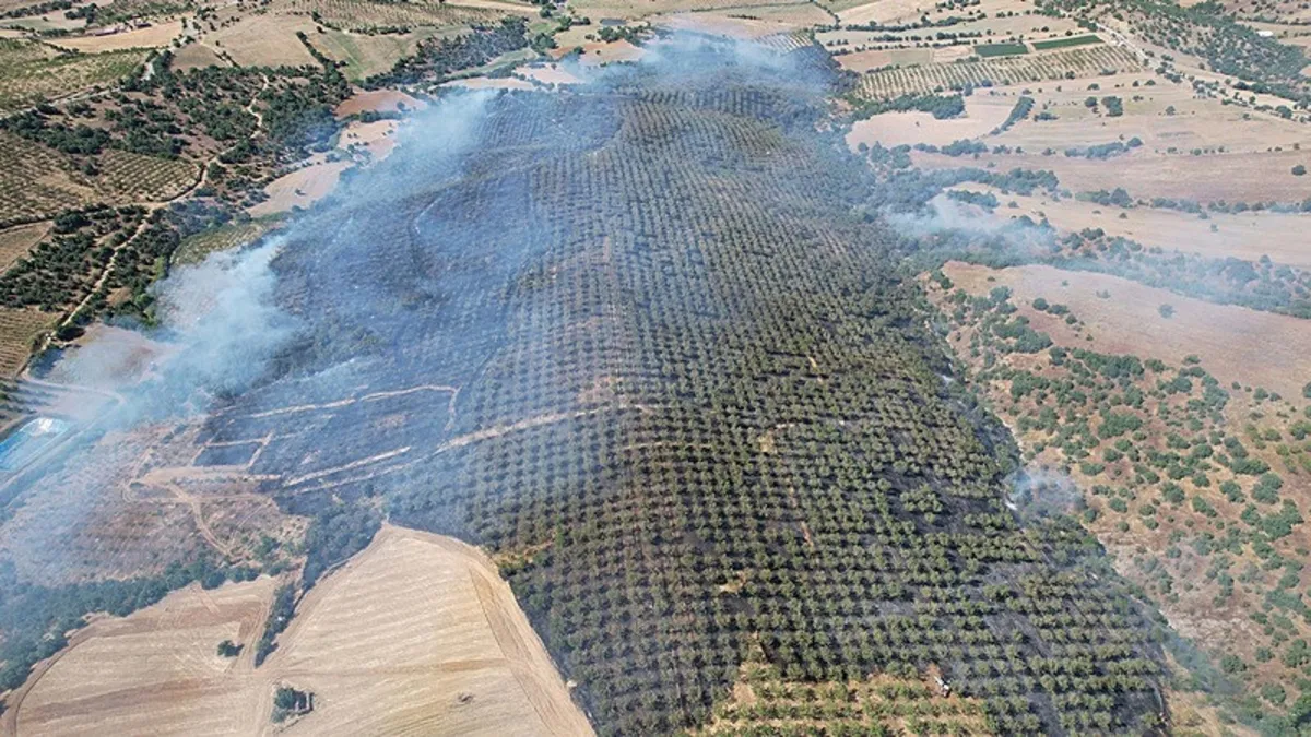 Manisa'da ciğerlerimiz yandı! Acı bilanço açıklandı