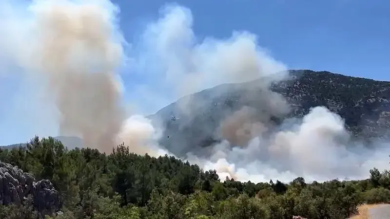 Antalya'da orman yangını