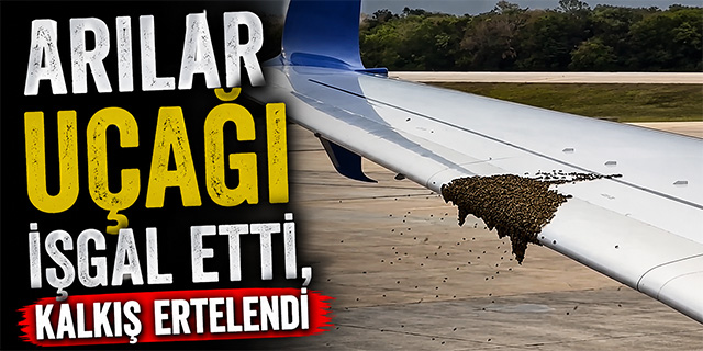 Delta uçağını arılar sardı!