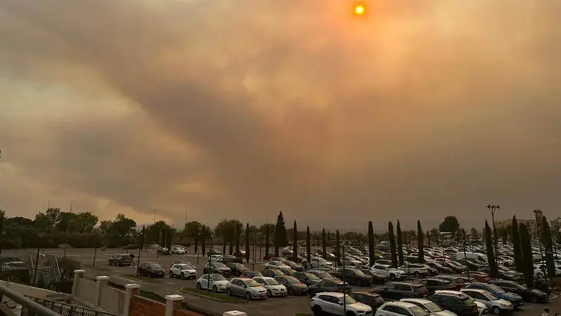 İspanya'da orman yangınları nedeniyle acil durum ilan edildi