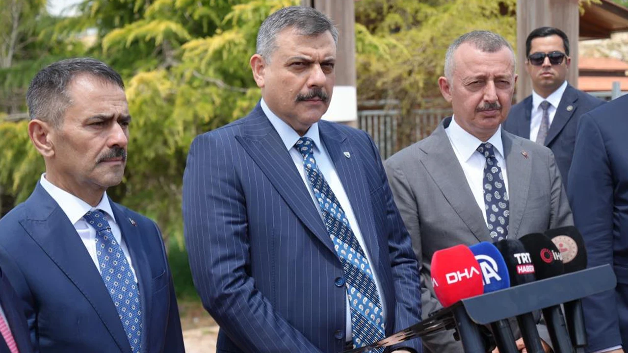 Mustafa Çiftçi: Sokak hayvanlarının %92,35'i toplandı