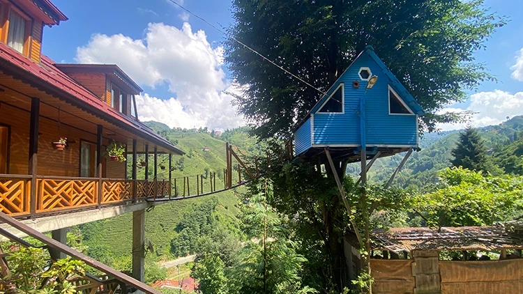 Rize'de sıra dışı çözüm: Çocukluk hayalleri olan ağaç eve asma köprüyle ulaşım