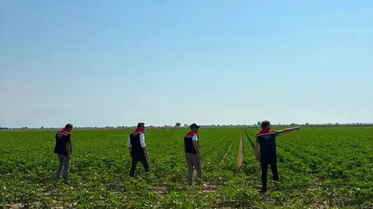 Tekstil devlerinin gözü Aydın’da! 444 bin dekarlık havzada inceleme başladı
