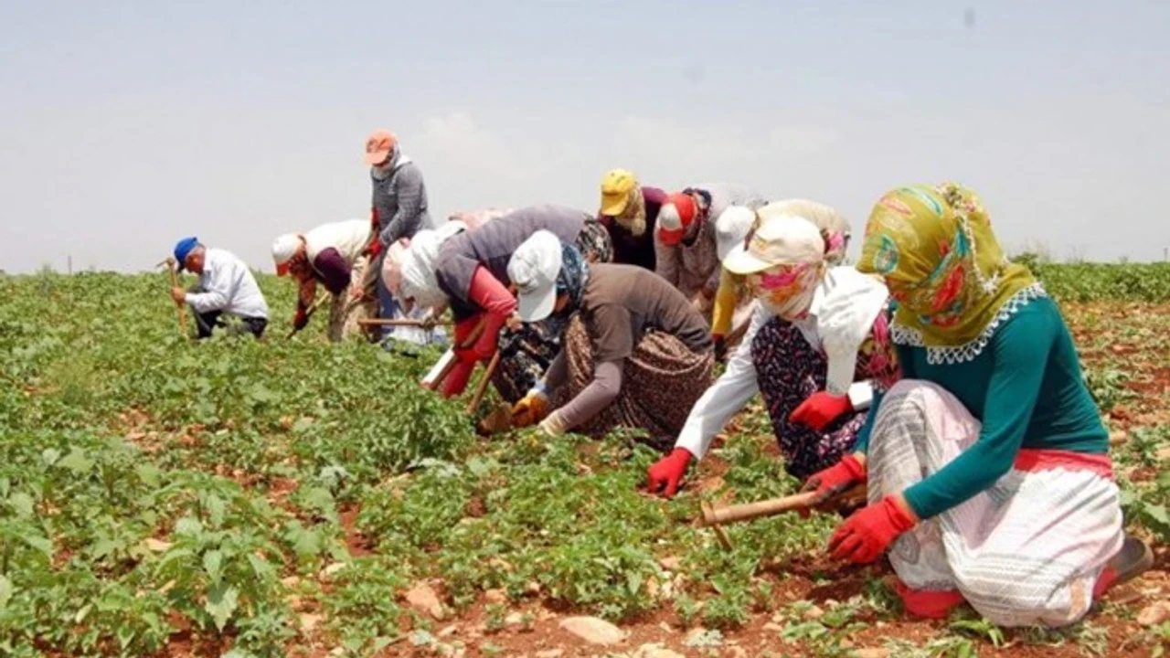 Işıkhan'dan 81 il valiliğine "mevsimlik tarım işçileri" talimatı