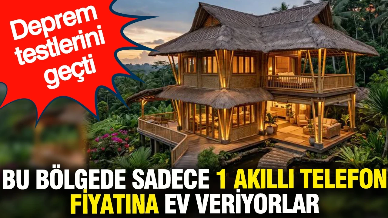 Bu bölgede sadece 1 akıllı telefon fiyatına ev veriyorlar: Duyan taşınmak istiyor